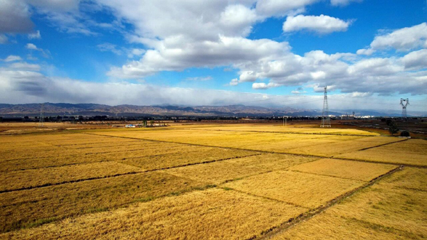 沃野繪新景 農田變良田——忻州市高標準農田建設錨定目標掛圖作戰決勝攻堅