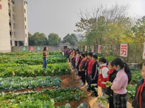 微信圖片_20251211201046_953_2 微信圖片_20251211201046_953_2