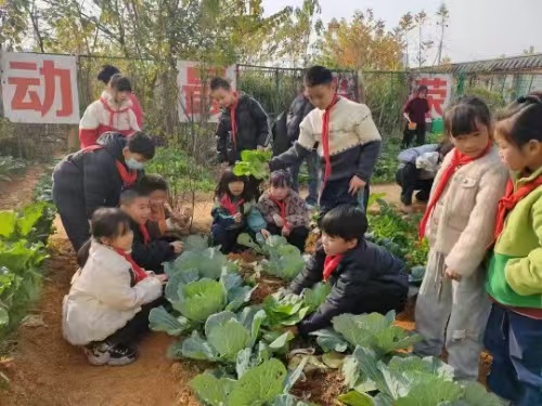 微信圖片_20251211201046_953_2 微信圖片_20251211201046_953_2