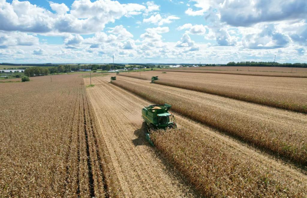 98e172b7404c8d93a4322d4dc567d86c_20251214925ac1b45064469a8e82e51aa26f7de9_7c68402372aa4ab68bb51336d4ee67bd