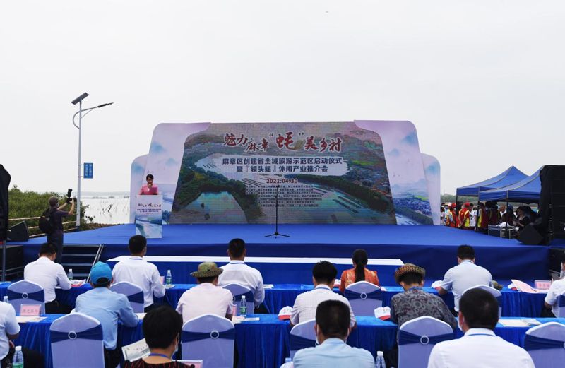 “魅力麻章·‘蠔’美鄉村”活動在湛江舉行