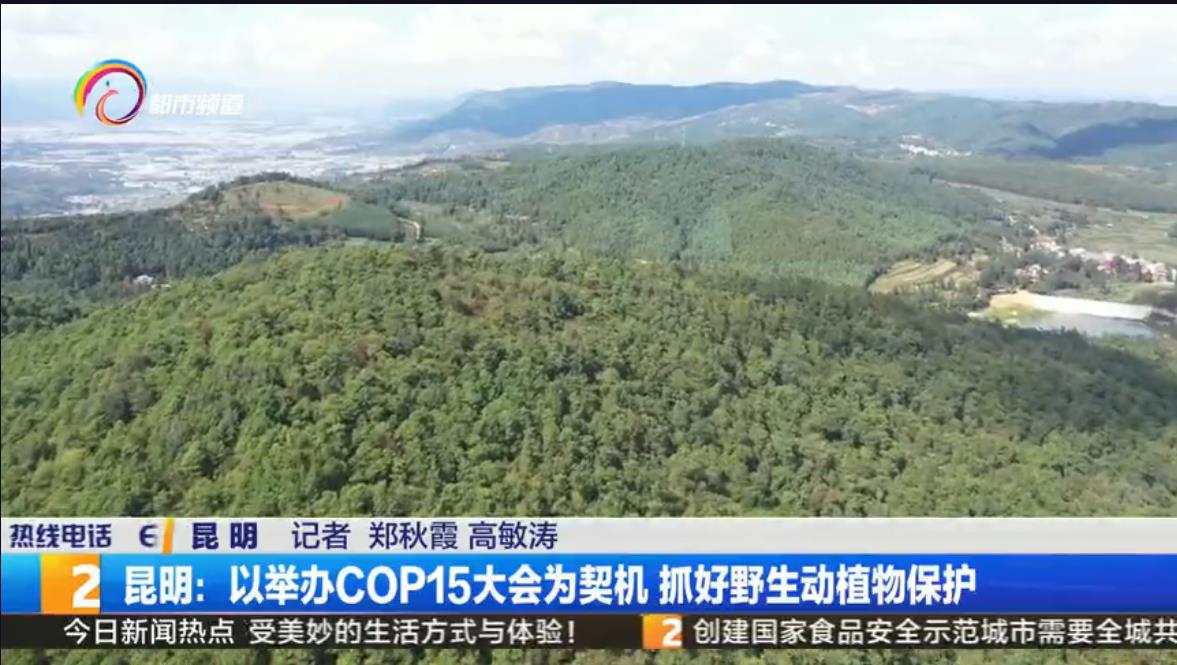 昆明:以舉辦COP15大會為契機 抓好野生動植物保護