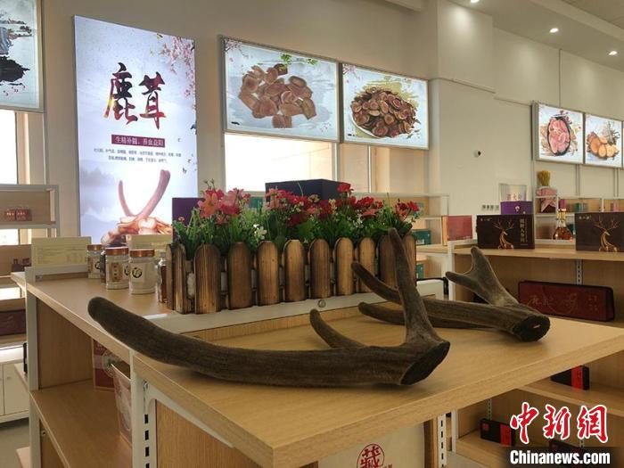 吉林跨境電商高速發展 企業迎來數字化出海浪潮