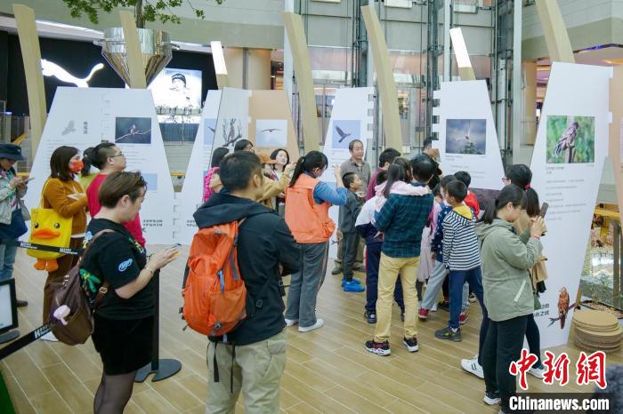 重慶國家重點保護物種種數保護率達90%