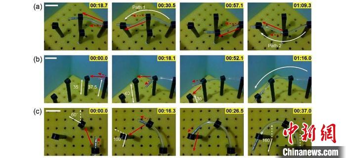 中國科研團隊研發磁驅動連續體微型機器人助力微創手術