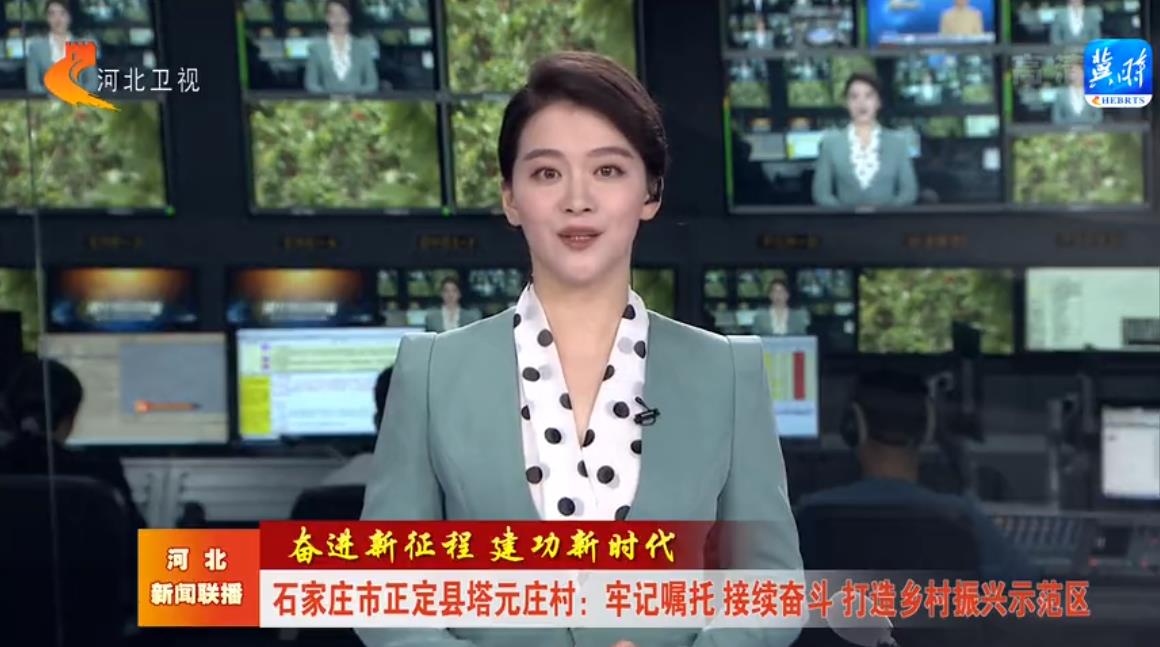 【奮進新征程 建功新時代】石家莊市正定縣塔元莊村:牢記囑托 接續奮斗 打造鄉村振興示范區