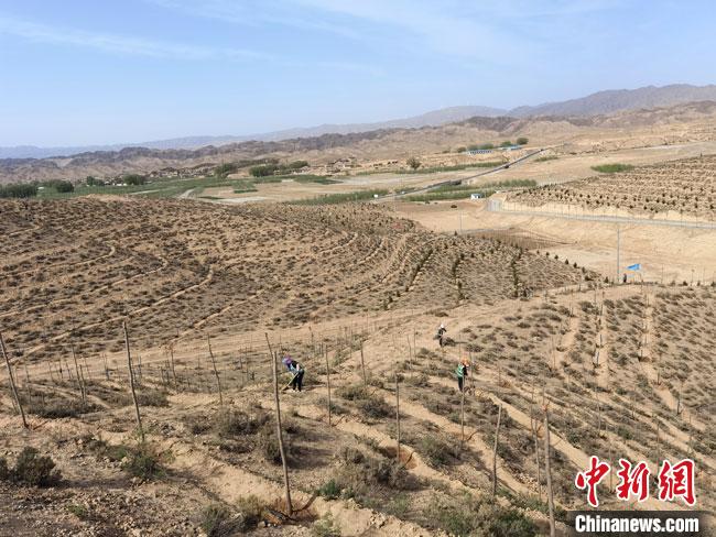 工業老區甘肅平川辟綠色發展新徑 探黃河流域礦山生態修復