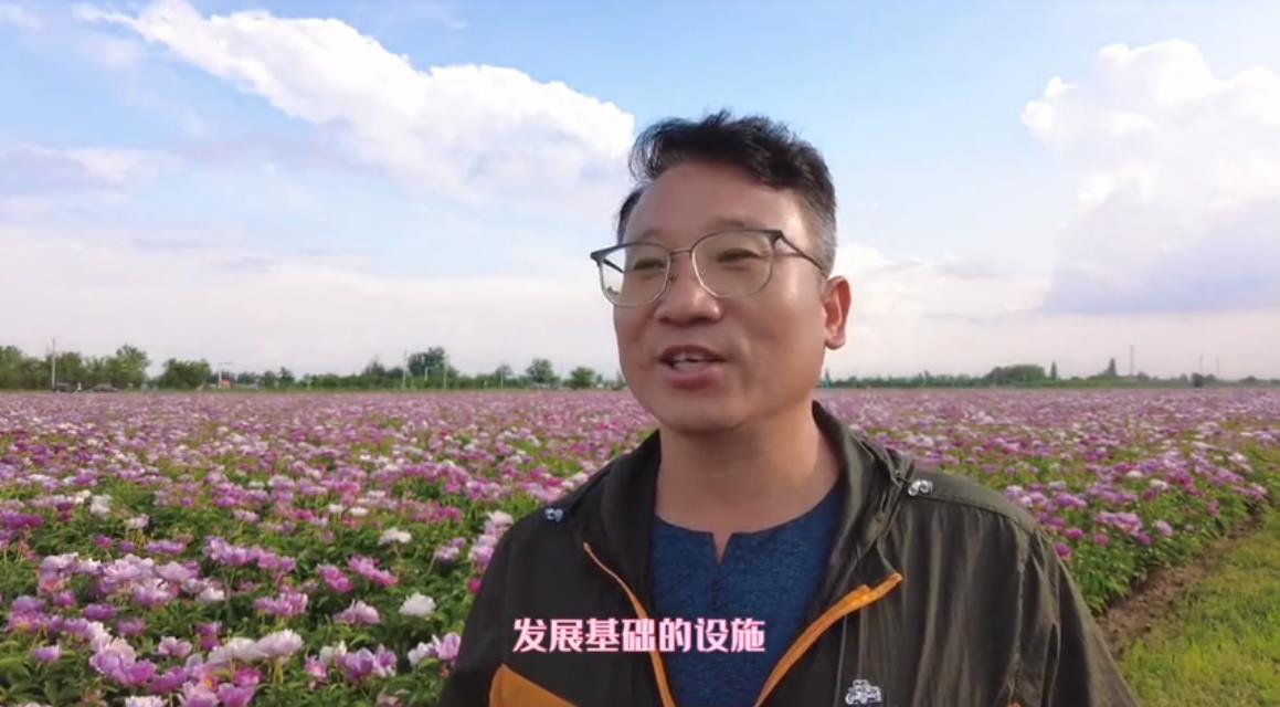 芍藥花開惹人醉 美麗鄉村入畫來