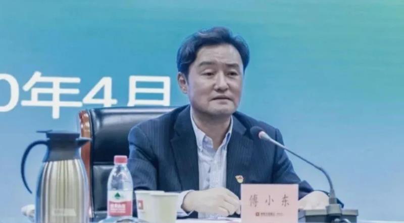 國家開發銀行河南分行原行長傅小東被查