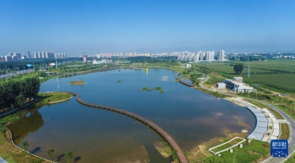 攜手呵護母親河——黃河流域省際橫向生態補償的新實踐