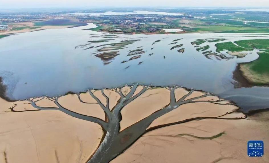 從3331到600！鄱陽湖水域面積近10年最小 何以“瘦成一道閃電”？