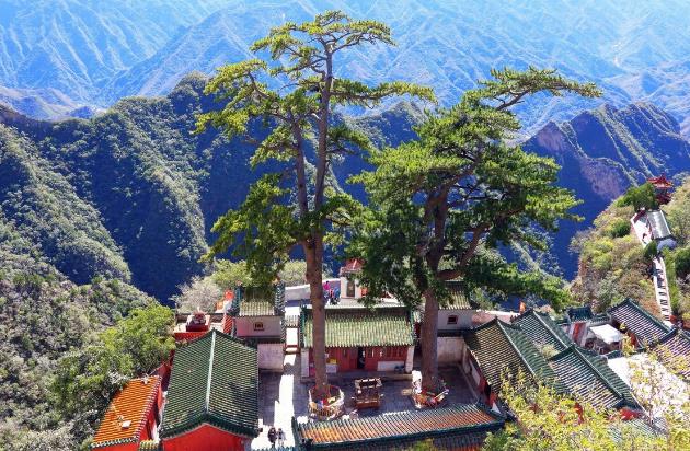 5000年以上的有5株！第二次全國古樹名木資源普查公布