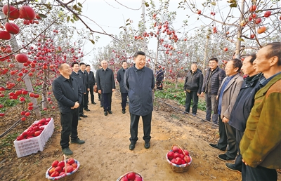 全面推進鄉村振興 為實現農業農村現代化而不懈奮斗