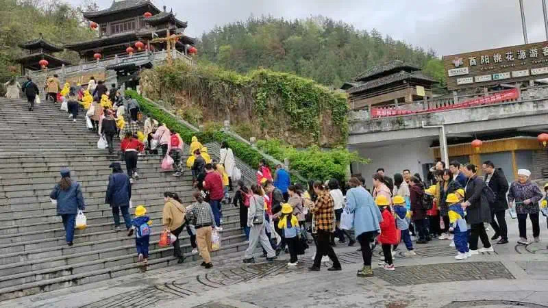 且聽風吟,共繪春日——鐘多幼兒園開展春日遠足活動