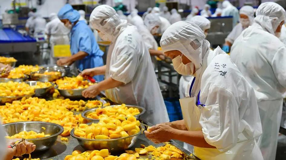 “民營經濟31條”重磅信號：打消顧慮，法治化是真正的定心丸