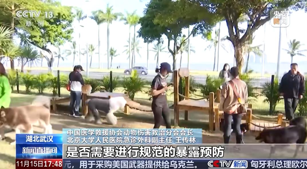 關注動物致傷防治 我國每年約數千萬人被貓狗咬傷