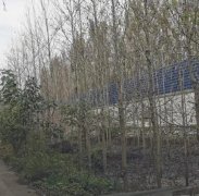 金牌銅牌掉色，泰國向東京奧組委申請更換