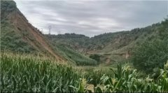 山西臨縣木瓜坪鄉大和村老虎溝組原組長違規行為誰來監管?