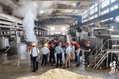 這一次，我們重新認識了四特酒